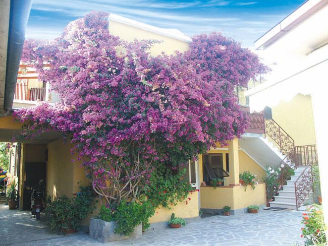 Albergo Bel Tramonto Porto Azzurro Esterno foto